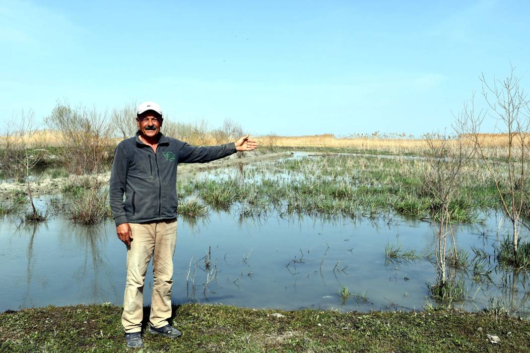 Nasreddin Hoca’nın ya tutarsa dediği Konya’daki göl 8 yıl aradan sonra su tuttu 4